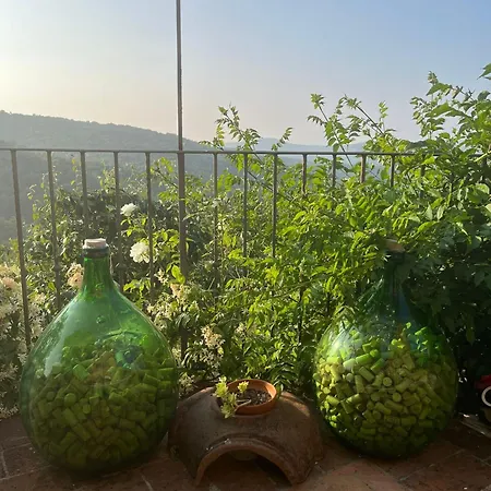 Holiday home Casa In Pietra Vagliagli
